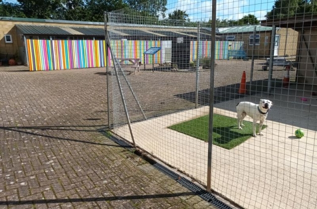 Over the years we have added to the site and now it is a brightly-coloured, safe, warm and comfortable place for our animals. 