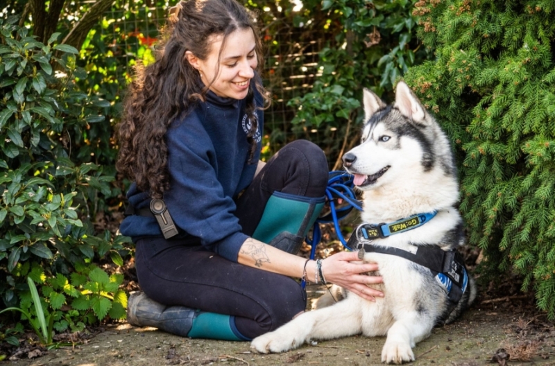 Smiling member and happy dog in tree area 