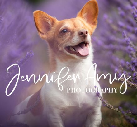 Jennifer Amy Photography