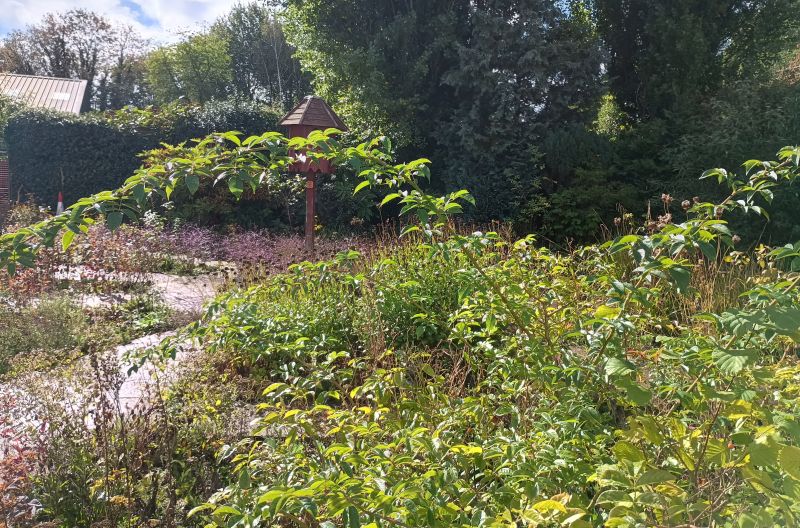 Rose Garden